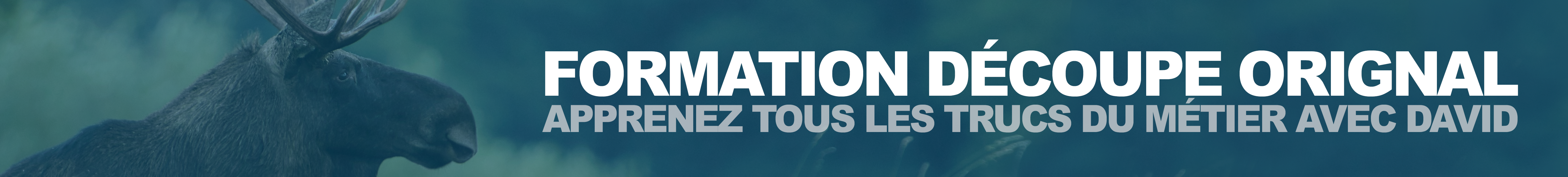 FORMATION EN LIGNE DÃCOUPE ORIGNAL